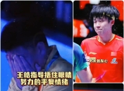 开云官方app入口-关于法国乒乓球队绝地反击奥地利乒乓球队，王皓爆发神勇的信息