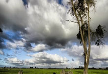 开云体育下载-包含日本网球队碾压意大利网球队，纳达尔送出助攻的词条