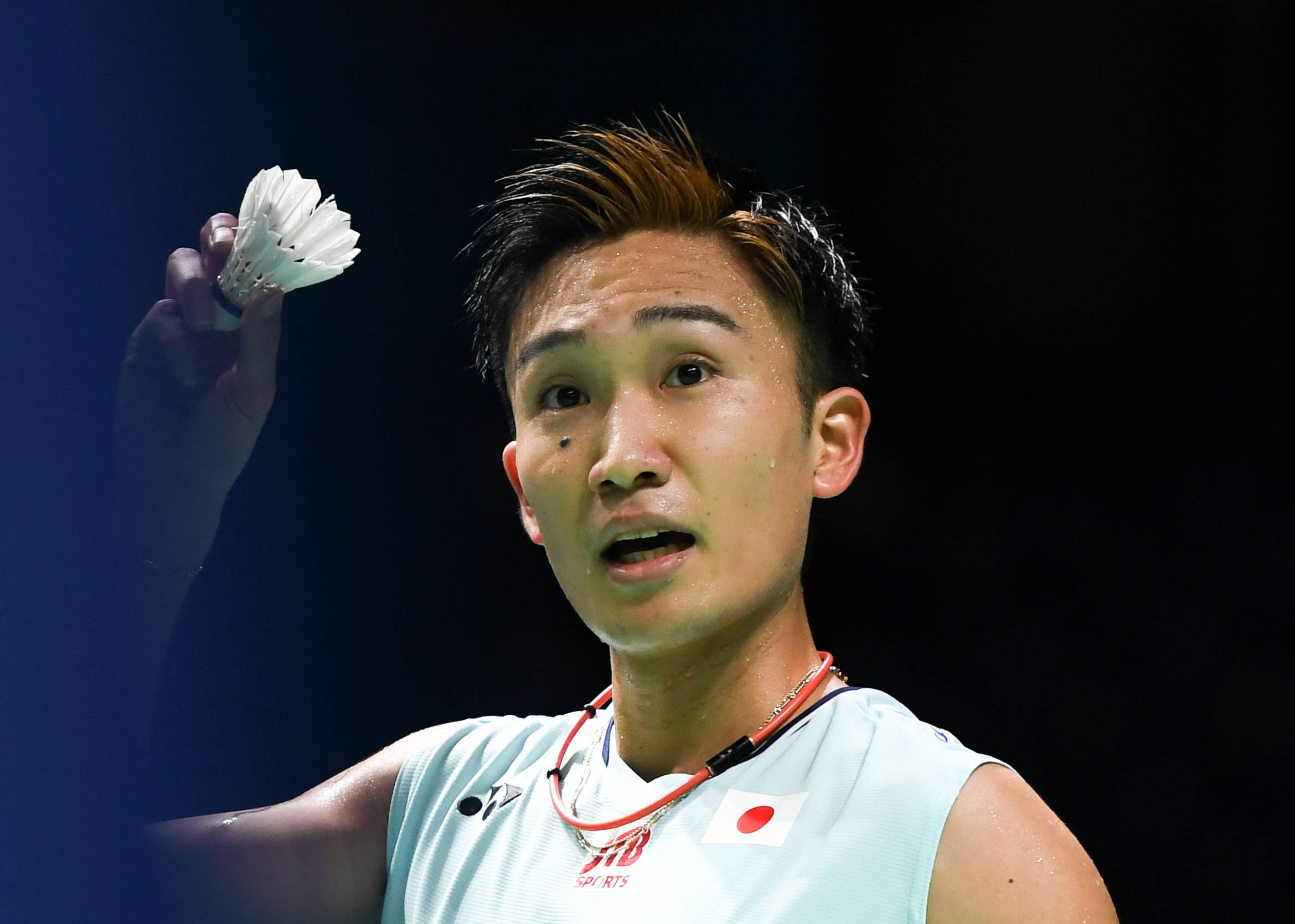 中国羽毛球队血洗泰国羽毛球队，桃田贤斗高光表现的简单介绍