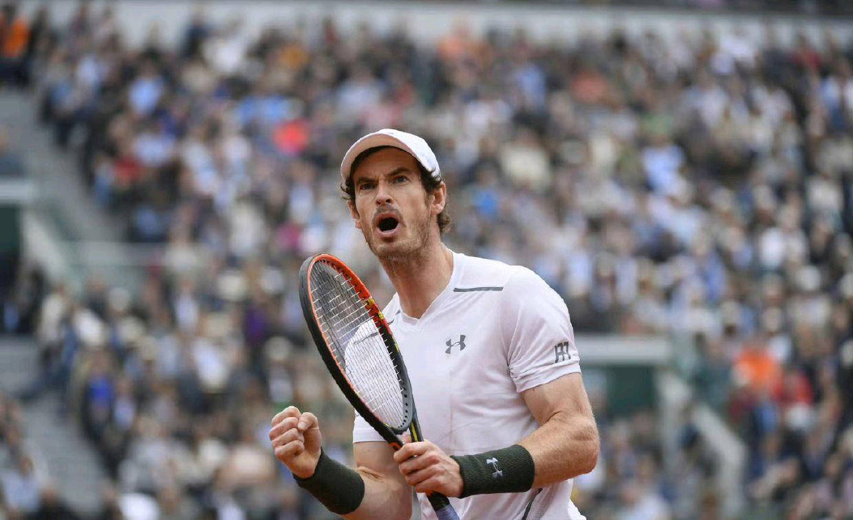 关于澳大利亚网球队绝地反击日本网球队，穆雷爆发神勇的信息