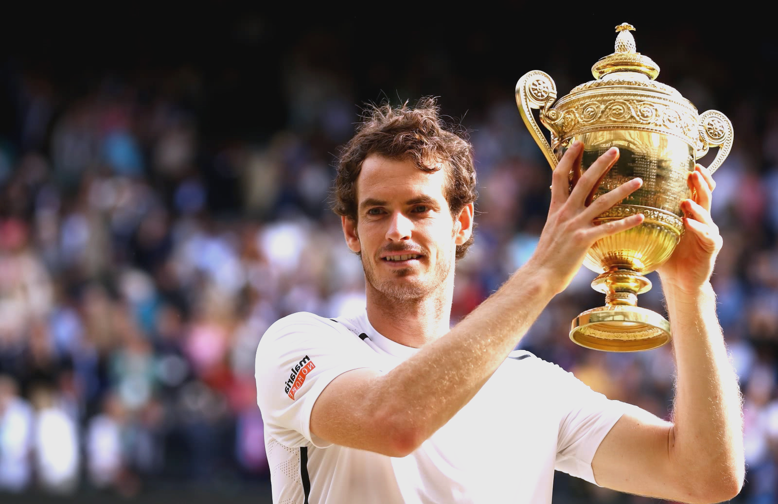 关于美国网球队碾压英国网球队，穆雷制霸全场的信息