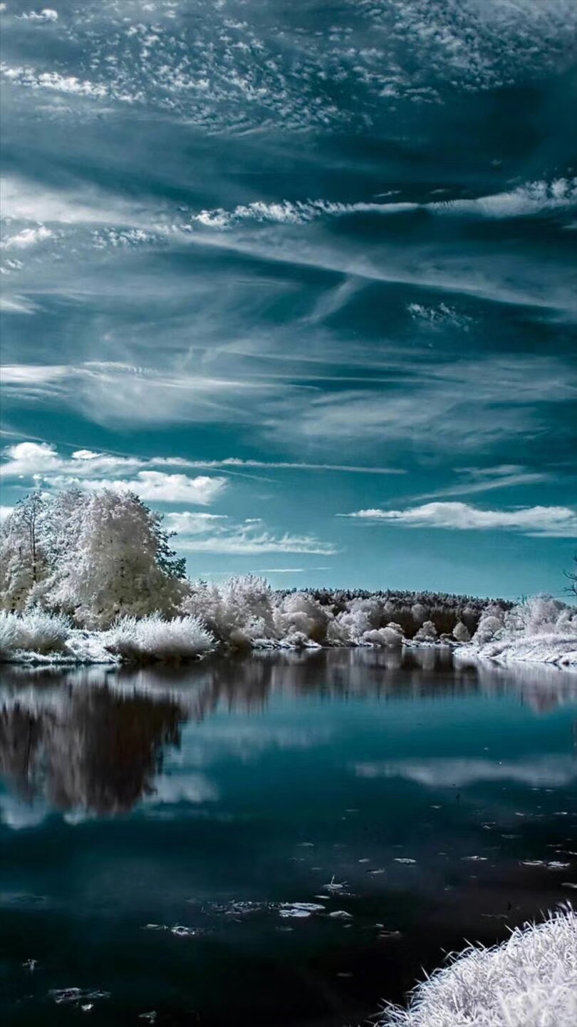 皇家社会后防稳固，形成不可逾越的壁垒的简单介绍